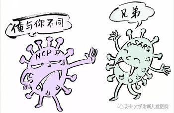 999策略白菜手机论坛