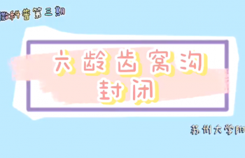 999策略白菜手机论坛
