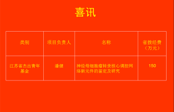 999策略白菜手机论坛