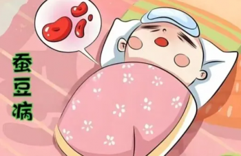999策略白菜手机论坛