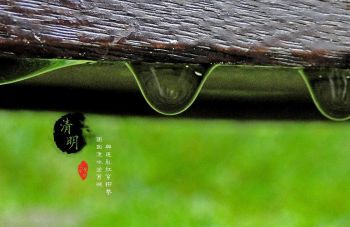 999策略白菜手机论坛