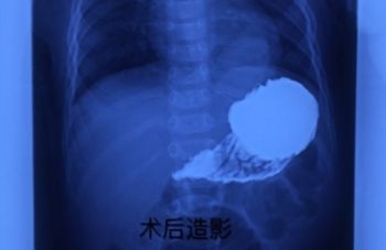 999策略白菜手机论坛
